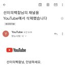 선이의백합 유튜브 채널이 삭제되었습니다.. 이미지