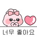 쌍용자동차밀양서비스프라자 이미지