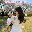 어느봄날 - 수성구 화랑로2길 105 | [경주 숙소] 4월에 다녀온 경주 어느봄날키즈펜션 독채 후기! (대가족 숙소 추천)