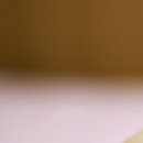 행정용 24 이미지