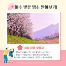 전라남도대학교 국동캠퍼스 (앞) 이미지