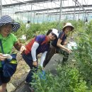 은숙농장 이미지