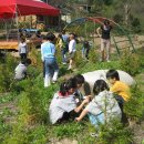 삼생초등학교 이미지