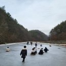 540태권도장 | 부산에서 가까운 울산 삼동 보은리 논썰매장 내돈내산 솔직후기
