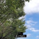 풍년카센타 이미지