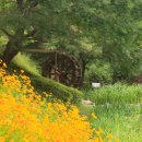 화동못 수변공원 이미지