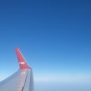 에벤에셀 타이어 | [제주여행] 제주 렌터카 추천 엔젤카 / 함덕숙소추천 세인트비치호텔 / 에벤에셀호텔