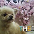 세븐일레븐 광양마동점 이미지