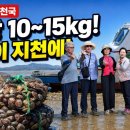 주문도 백합천국｜배 타고 강화갯벌로! 1인당 10~15kg 대수확·백합요리 이미지