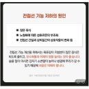 [정품] 대원제약 쏘팔메토, 블랙마카 이미지