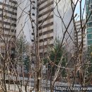 태강공인중개사사무소 이미지