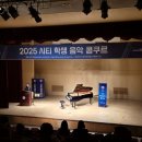 나비초 이미지