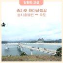 바다전망대 sky- | 강원도 고성 가볼만한곳 송지호 바다하늘길 죽도까지 시범운영기간에 다녀온 후기
