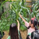 여울초등학교 이미지