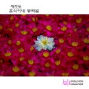 훈식 티스토리