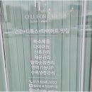 셀포랩요기요