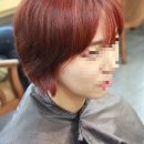 리안헤어목동