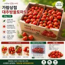 가람상점 티스토리