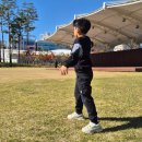 한국건강식품 | 항산화, 혈행개선 뜻 찾다가 발견한 건강기능식품 후기