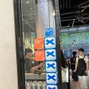 미스터리브루잉컴퍼니 피맥하기 좋은 공덕역 수제맥주 블루리본 맛집