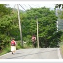 위례초병설유치원 이미지