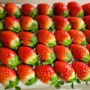 동명식육점 이미지