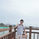 궁평리어촌계 부녀회식당 네이버블로그