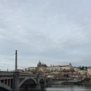 폭스마켓 | 🇨🇿 16 Dec | 체코 프라하 카페 추천, 국제 우편 부치기, 꼴레뇨 맛집 폭스, 크리스마스 마켓 후기