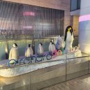 비스트로 딤섬 이미지