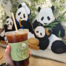 [여행/경기 용인] 수원/용인 1박2일 (2일차/용인) || 에버랜드 산리오 플라워 카니발 페스티벌 튤립축제...