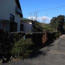 고정화할망집 이미지