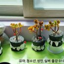 흙으로만드는세상