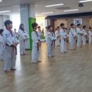 국가대표 타이거 태권스쿨 이미지
