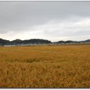 순정농장 이미지