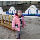 버클리명문유치원 이미지
