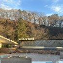 포레드노드 이미지