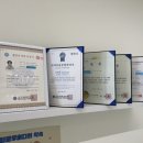 버디그루밍 이미지