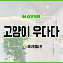 부산동물병원 제넷 이미지