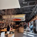 고흥-9호 | 여의도 직장인 카페 꼼마 여의도신영증권점 도서관 분위기 책 읽을 수 있는 북카페 추천