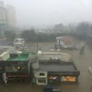 효자시장 이미지