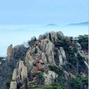 제476회 정기산행 [2026. 2. 21 ] 홍성 용봉산 (시산제 산행) 이미지