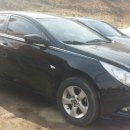 애니렌트카 이미지