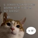 카페모니카 네이버블로그