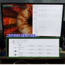 주니그래픽 이미지