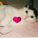 우리집첫째 이미지