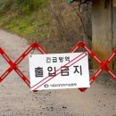 돼지사수