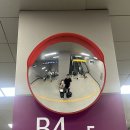 동리회집 | [2025.10] 초가을 부산 경주 사진일기