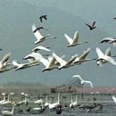 다대성당 앞 이미지