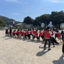 노화중앙초등학교 이미지