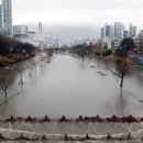 온천천일대13 이미지